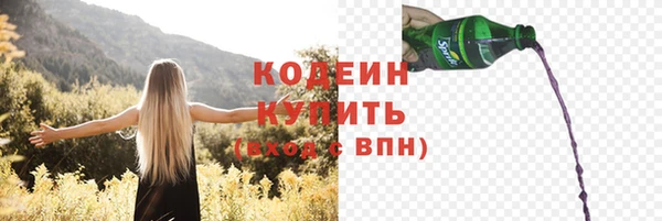 дживик Гусь-Хрустальный