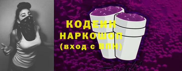 дживик Гусь-Хрустальный