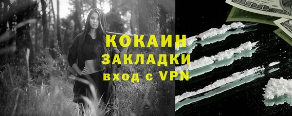 дживик Гусь-Хрустальный