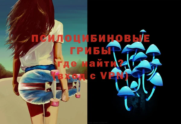 дживик Гусь-Хрустальный